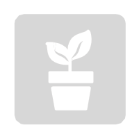 MobiWork - Grow Your Business Icon