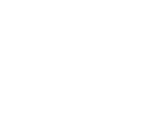 Avalon Integrations - Zebra White Logo